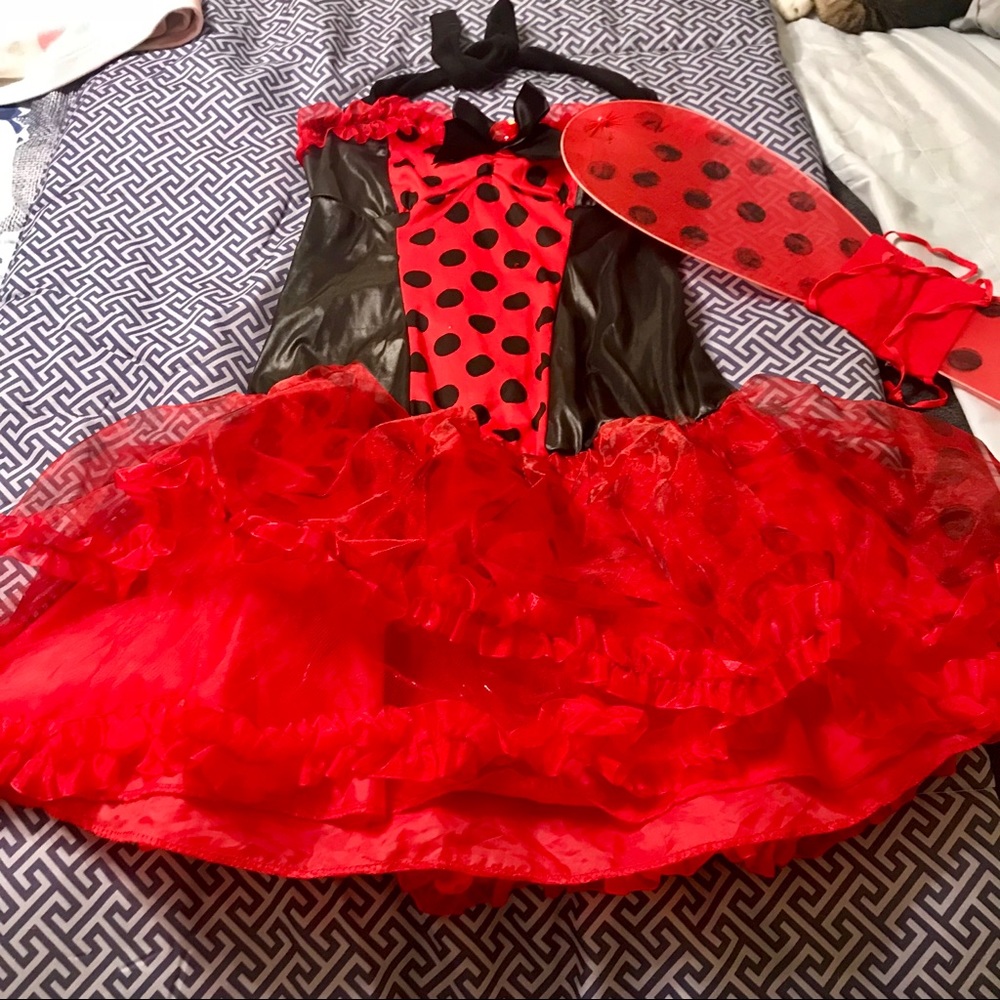 Halloween costume - ladybug wings incl Size M/L